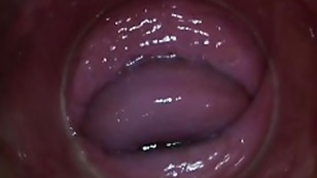PJGIRLS - Camera deep inside Paula Shy&#'s vagina (Full HD Pussy Cam)